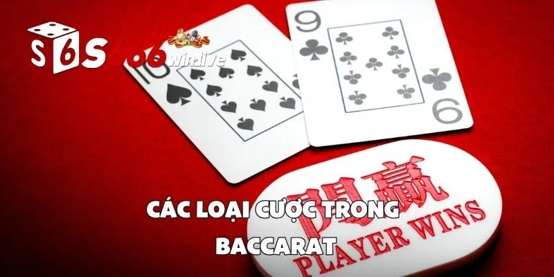Các Loại Cược Trong Baccarat