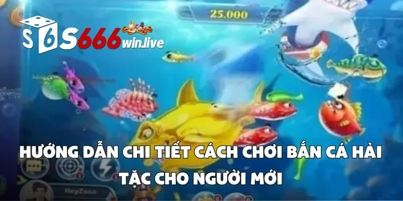 Hướng Dẫn Chi Tiết Cách Chơi Bắn Cá Hải Tặc Cho Người Mới